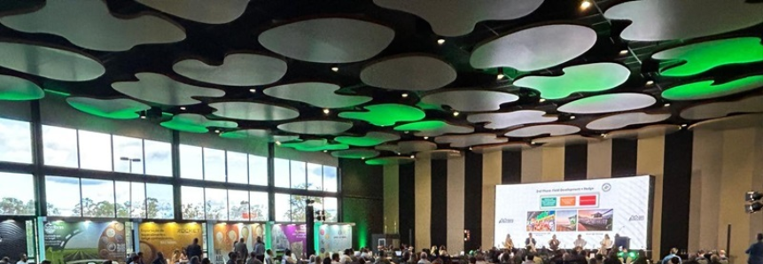 CNA participa de evento sobre feijão e pulses