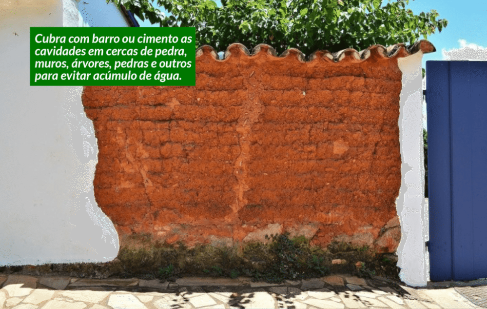 Cubra com barro ou cimento as cavidades de muros e outros lugares que possam acumular água.