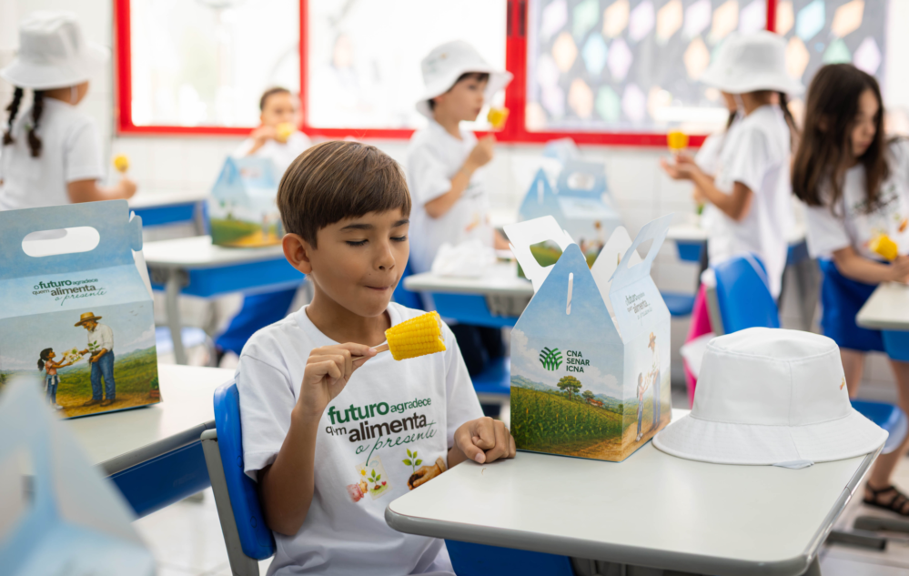 escola 4