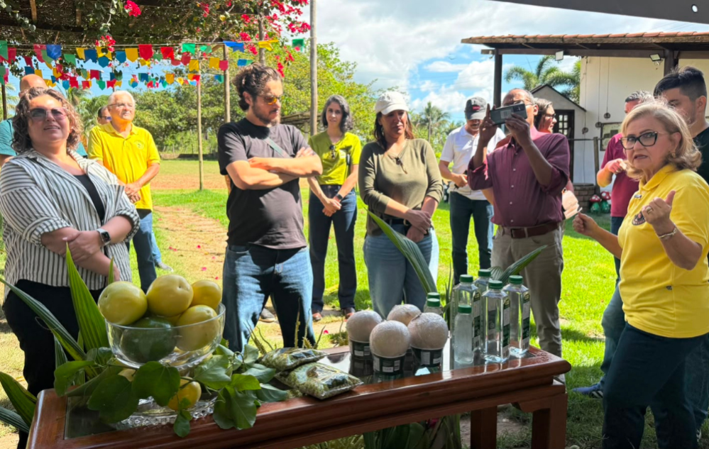 Visita Técnica