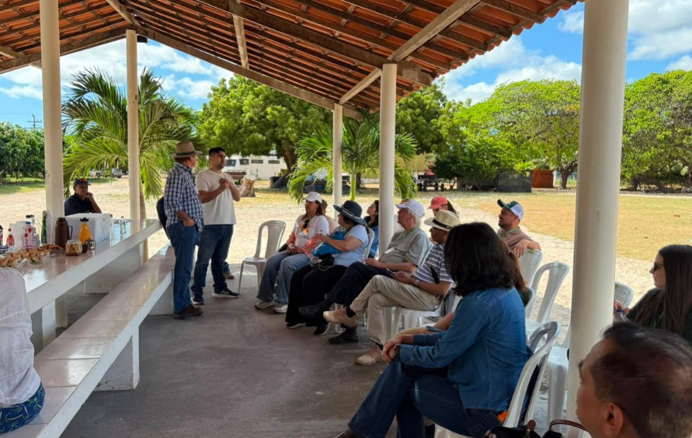 Visita Técnica