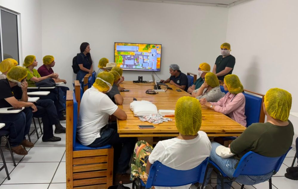 Visita Técnica