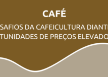 Os desafios da cafeicultura diante das oportunidades de preços elevados