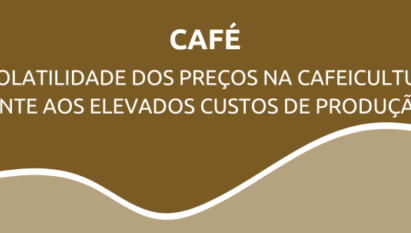 A Volatilidade dos preços na cafeicultura frente aos elevados custos de produção