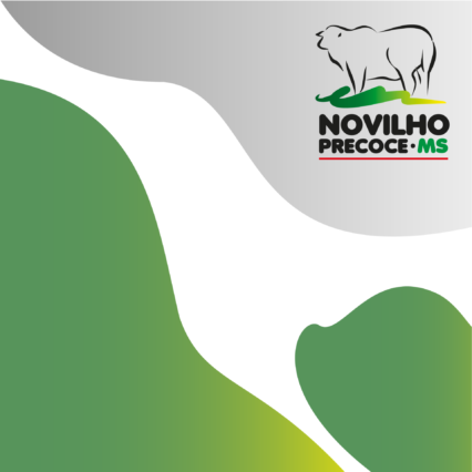 PROTOCOLO NOVILHO PRECOCE DE SUSTENTABILIDADE (PNPS)