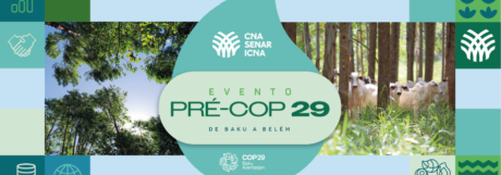 Pré-COP 29