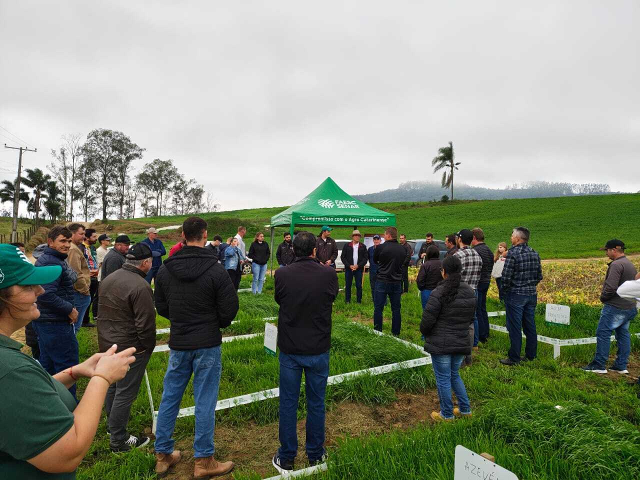 Evento técnico reúne produtores para discutir manejo de pastagens de inverno em Braço do Norte