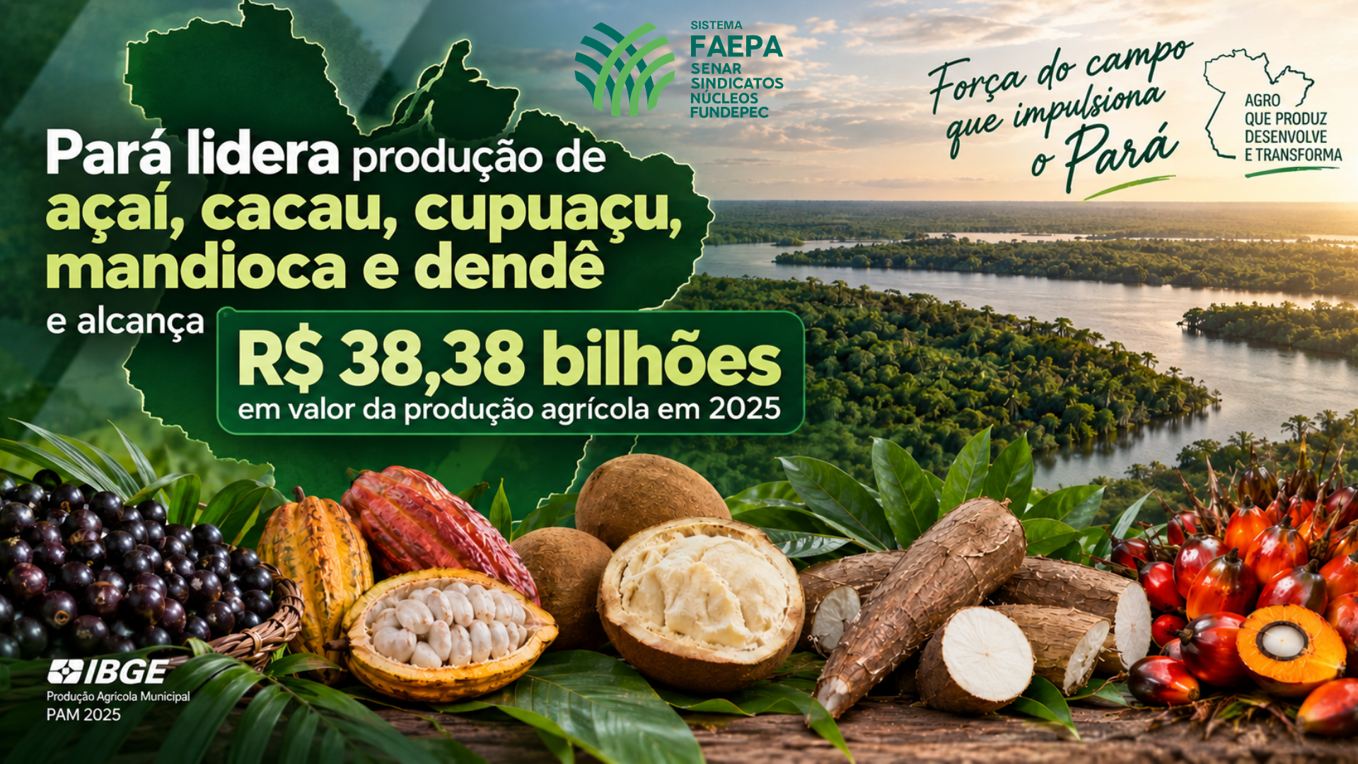 Pará lidera produção de açaí, cacau, cupuaçu, mandioca e dendê e alcança R$ 38,38 bilhões em valor da produção agrícola em 2025