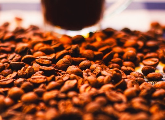 2024 - PRÊMIO CNA BRASIL ARTESANAL: CAFÉS ESPECIAIS TORRADOS