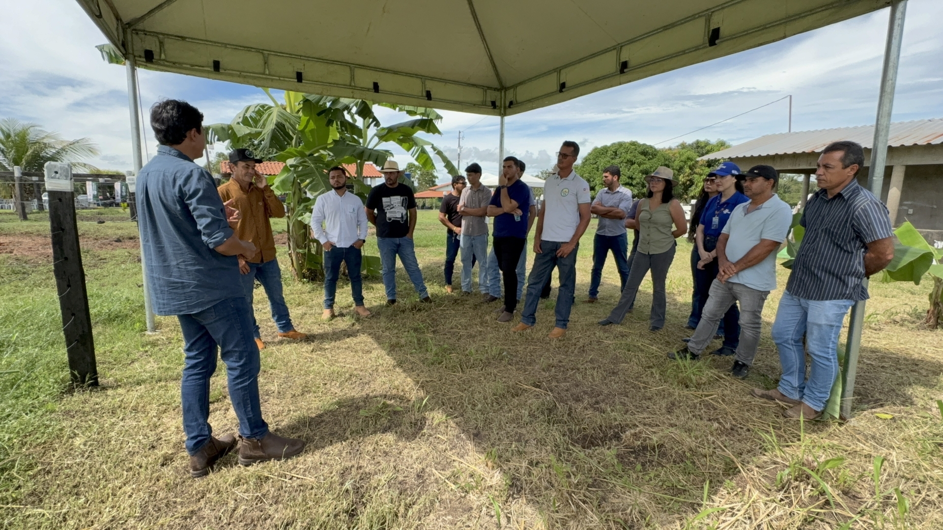 Produtores acompanham demonstração de inseminação artificial durante estação tecnológica do Dia de Campo realizado na Fazenda Grapiúna, em São Pedro da Água Branca (MA).