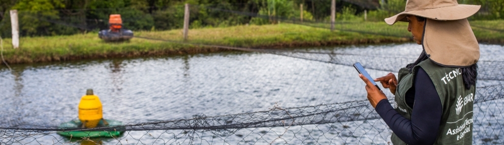 Assist Ncia T Cnica E Gerencial Confedera O Da Agricultura E Pecu Ria Do Brasil Cna