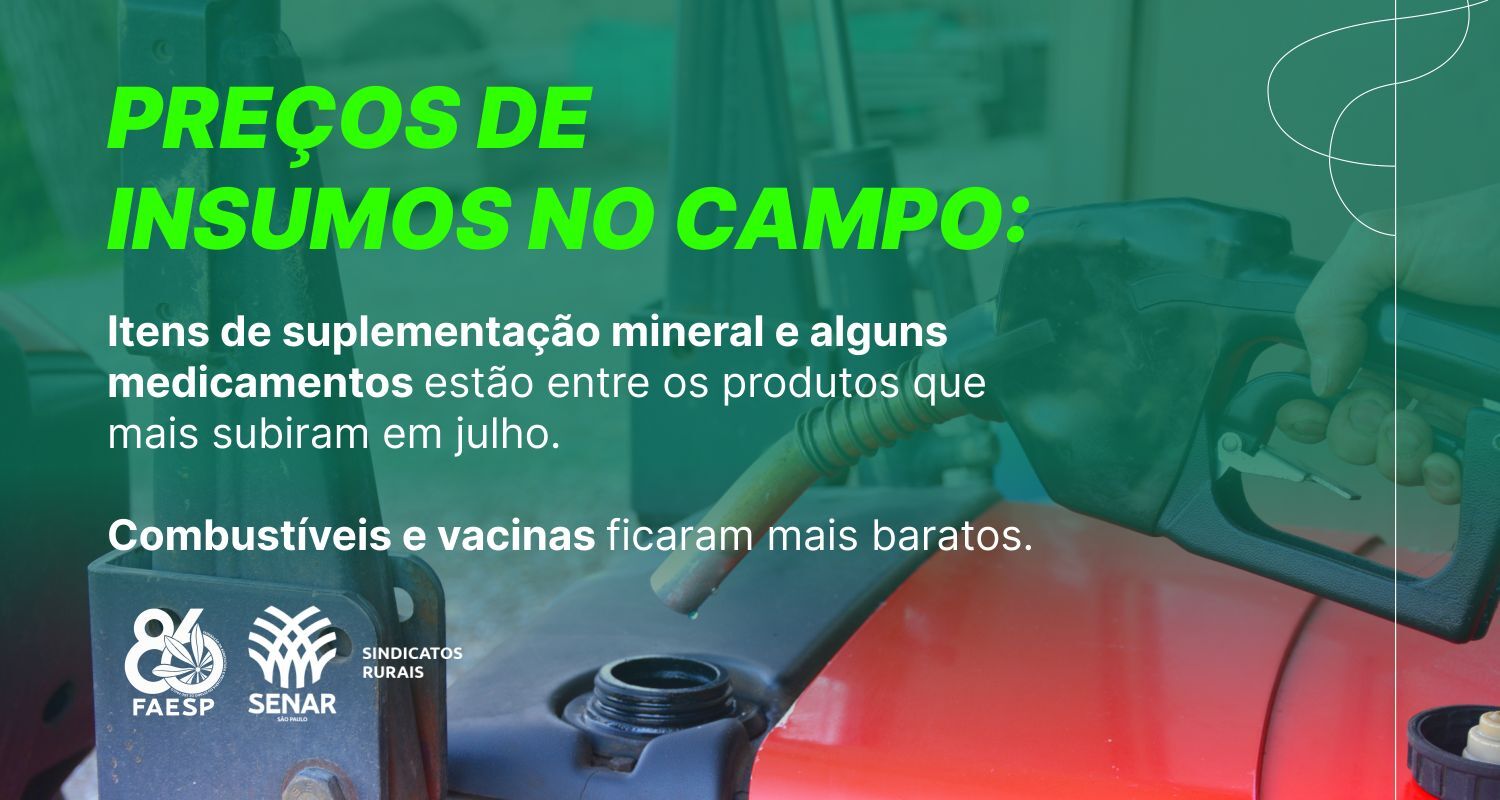 Medicamentos e suplementos valorizaram em julho, enquanto combustíveis e vacinas ficaram mais baratos