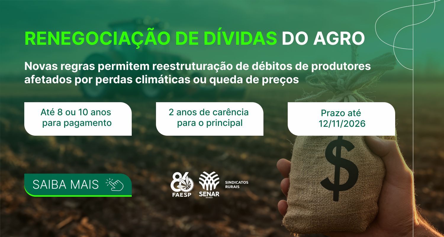 Renegociação de dívidas do agro: entenda as regras da MP 1.376