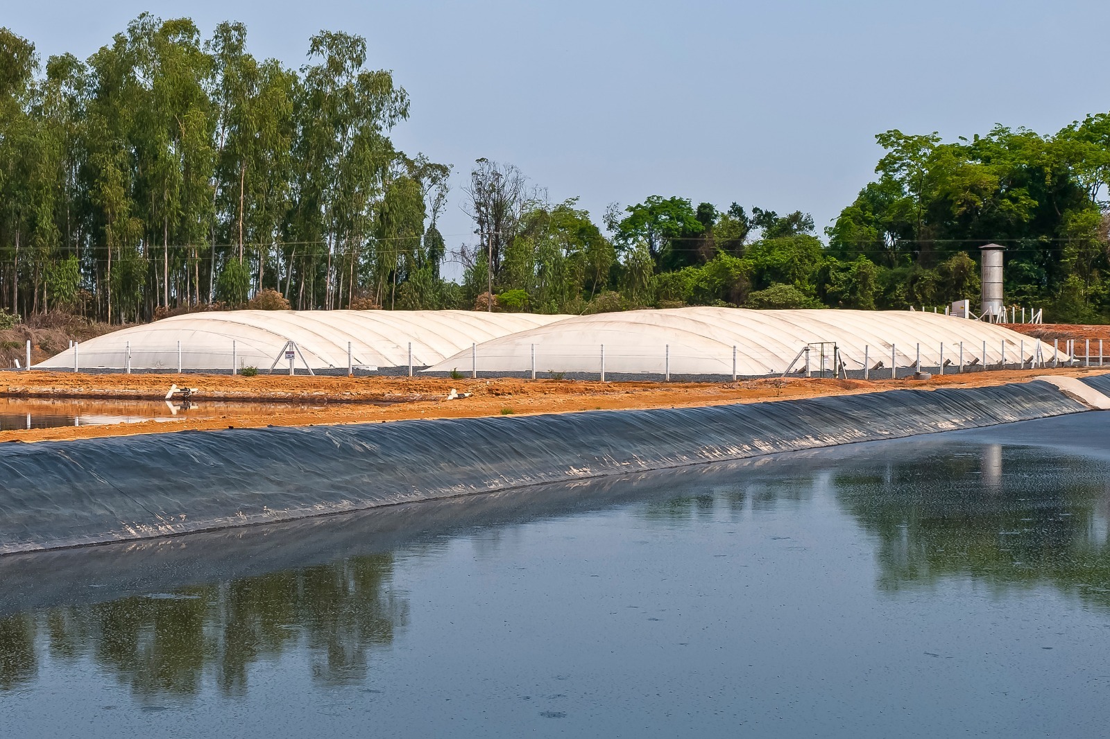 Dia de Campo aborda como transformar dejetos animais em energia limpa