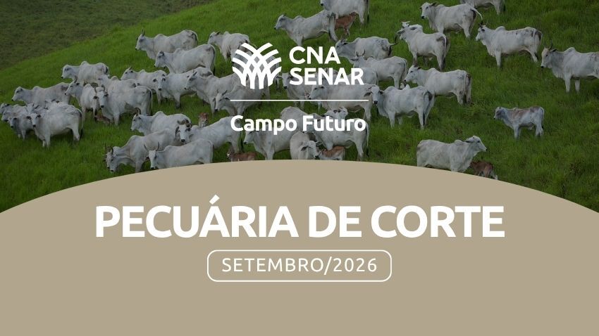 O Custo da improdutividade. Vacas vazias e seus reflexos no custo operacional total.