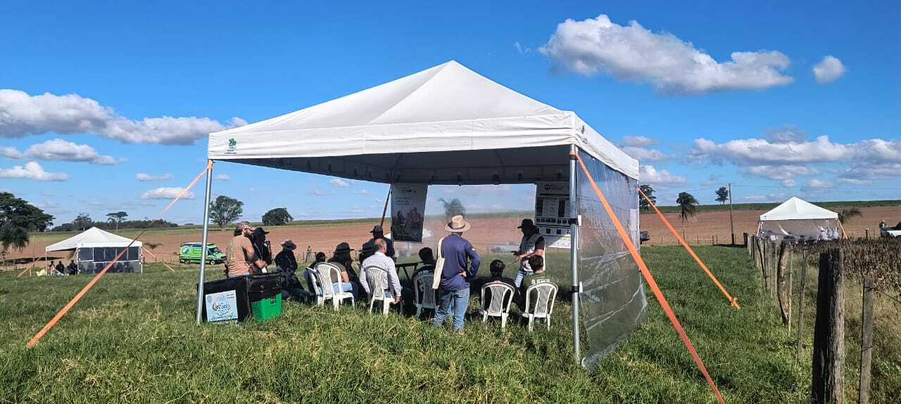 Uso de planta de cobertura mobiliza 70 produtores em Dia de Campo em Cruzeiro do Sul