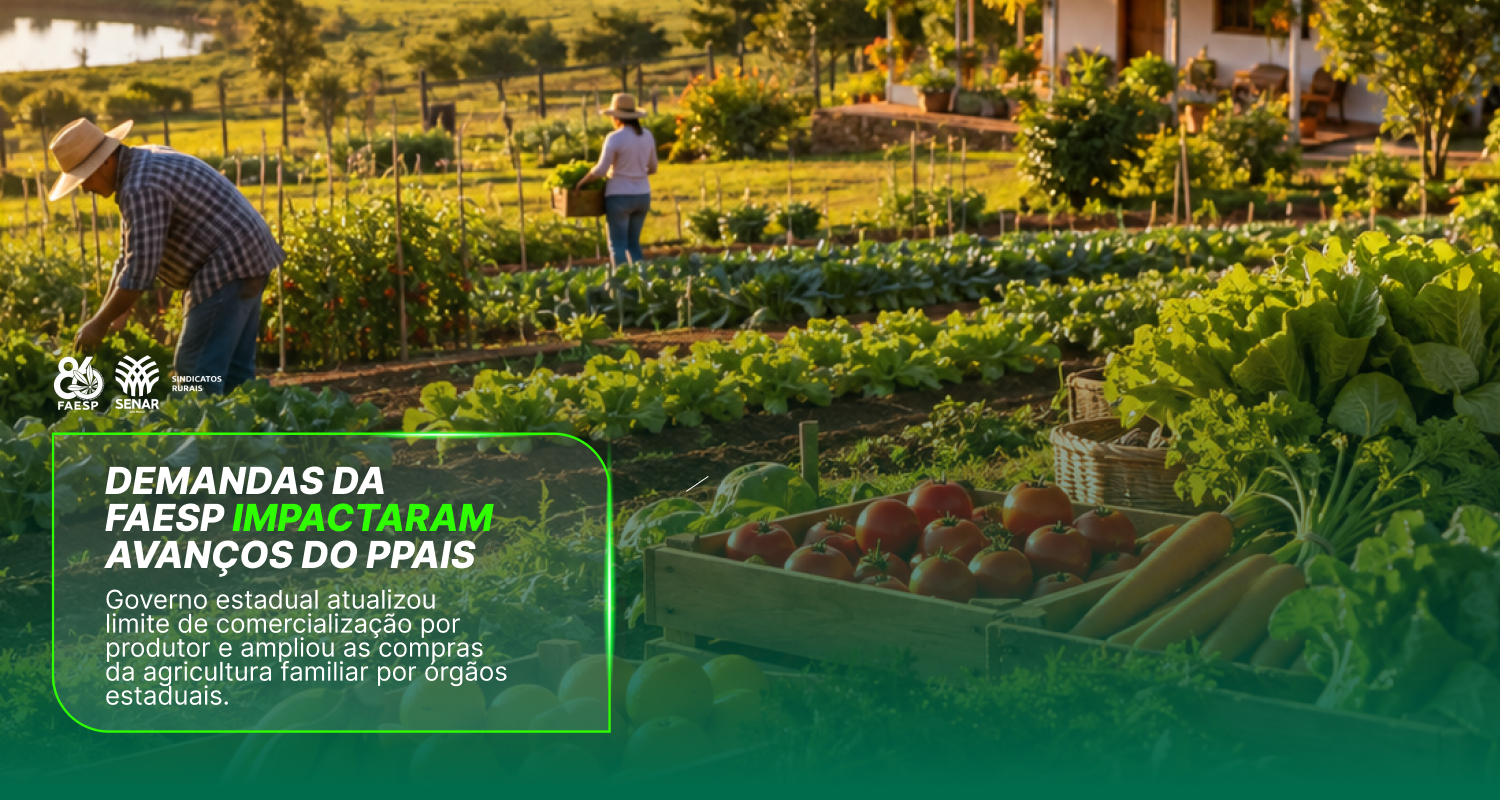 Faesp destaca avanços no PPAIS e ampliação das compras da agricultura familiar