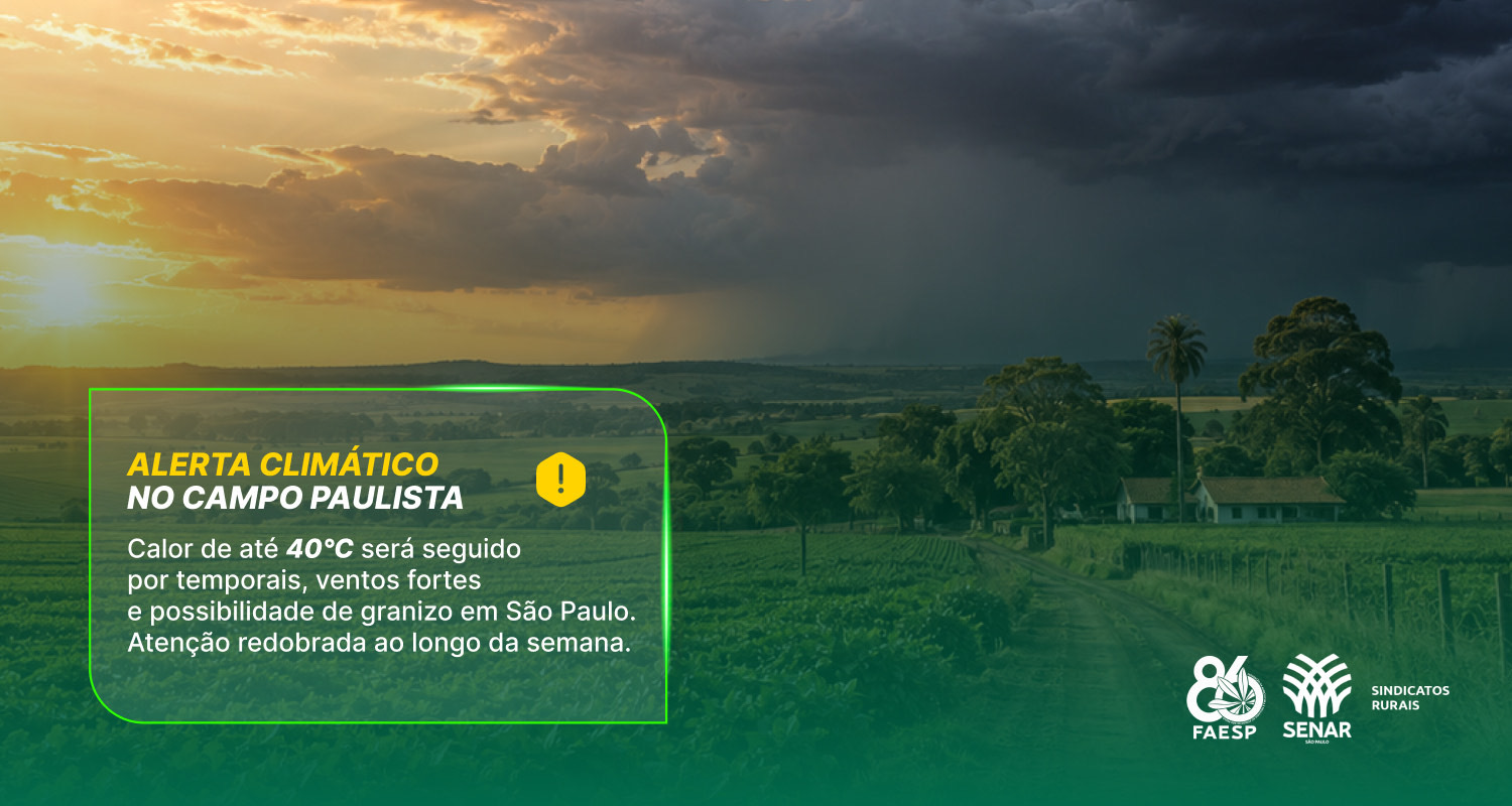 Faesp alerta produtores para calor de até 40°C seguido de temporais, ventos fortes e granizo
