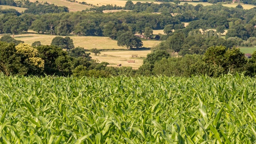 Propriedade Rural meio ambiente