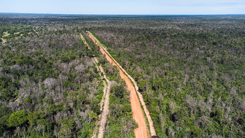 Regras para aceiros no Pantanal são atualizadas e passam a detalhar ações de prevenção e combate a incêndios