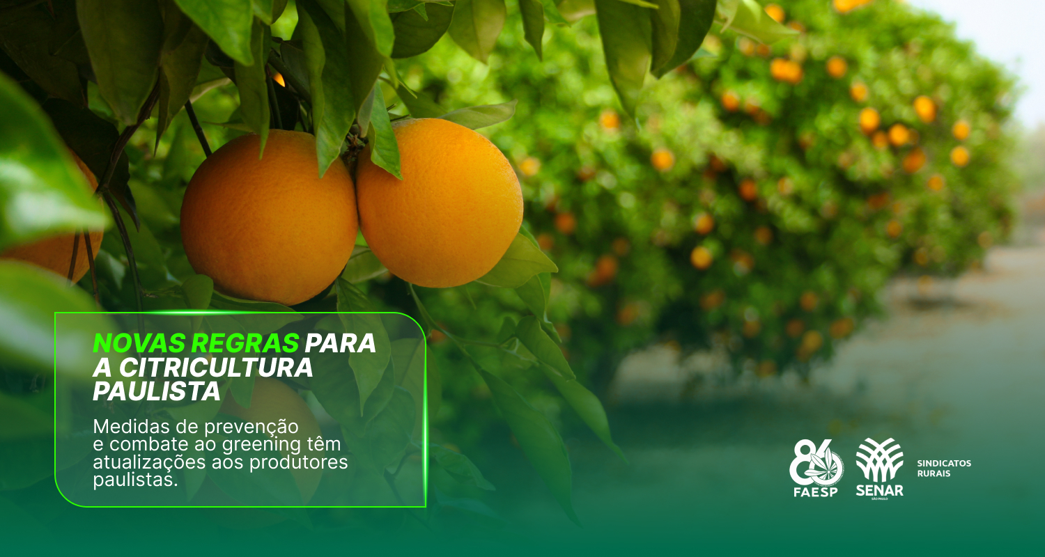 Medidas de prevenção e combate ao greening têm atualizações aos produtores paulistas