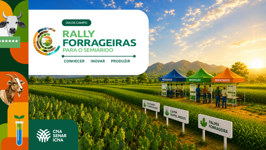 Rally Forrageiras começa em Baixa Grande (BA) no dia 3 de agosto