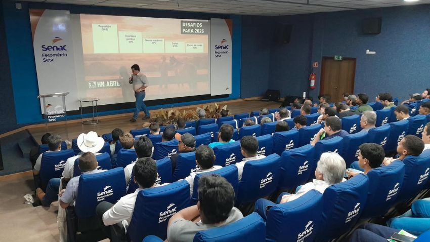 CNA apresenta resultados do Campo Futuro da bovinocultura de corte em Tocantins