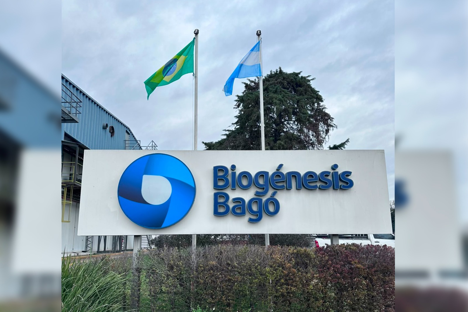 Banco Brasileiro de Antígenos reforça a sanidade animal, aponta Sistema FAEP