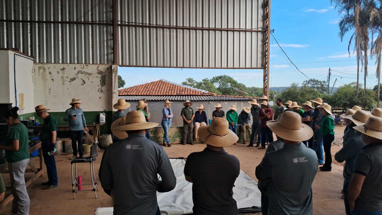 Sistema Famato/Senar MT estimula a produtividade da fruticultura e olericultura em Mato Grosso