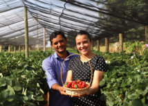 De porteiras abertas: produtora de morangos em Deodápolis sonha com turismo rural