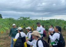 ​Alunos dos cursos técnicos em Fruticultura e Florestas do Polo Manaus participam de aula prática em Iranduba