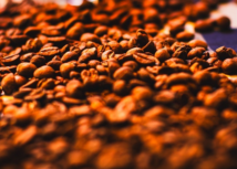 CNA debate desafios e estratégias para a cafeicultura