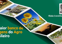 Flickr do Sistema CNA/Senar oferece imagens atualizadas do agro