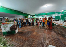 Sistema Faepa/Senar participa do Agro Fest 2024 em Ulianópolis