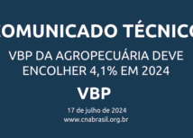 VBP da Agropecuária deve encolher 4,1% em 2024