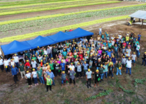 Dia de Campo sobre olericultura reúne mais de 200 participantes em Castanhal