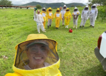 Apicultura ganha destaque com ampliação da cadeia produtiva do mel em Alagoas