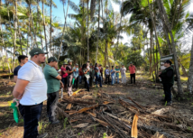 I Dia de Campo da Olericultura em Chapadinha apresenta caso de sucesso de Produtividade e Inovação