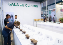 Cupping de Cafés Diferenciados promove conexão entre produtor e comprador