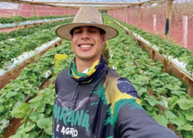 Produtor migra de atividade e decola no cultivo de morangos