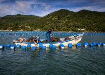 Senar inicia ações do Projeto Aquicultura Brasil