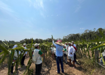 Senar Amazonas realiza, em convênio com Sebrae/AM, Dia de Campo na ‘Toca da Pitaya”