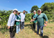 Produtores rurais de Itacoatiara assistidos pela ATeG recebem visita técnica da gestão do Senar Amazonas