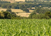 G7 apoia projeto que moderniza licenciamento ambiental no Paraná