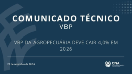 VBP da agropecuária deve cair 4,0% em 2026