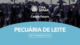Eficiência na produção de silagem: a chave para melhores margens na atividade leiteira