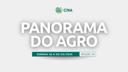 Panorama do Agro | Edição 39