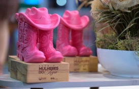 Encontro na Expoema reconhece mulheres que movem o agro maranhense