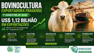 Exportações da bovinocultura paraense superam US$ 1,1 bilhão no 1º semestre de 2026