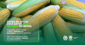 Safra de grãos brasileira deve atingir o recorde de 361,7 milhões de toneladas